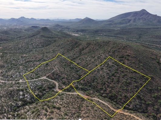 Parcel 1 with boundary lines